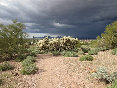 desert Park